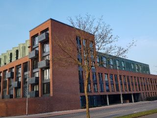 20180209_162124.jpg