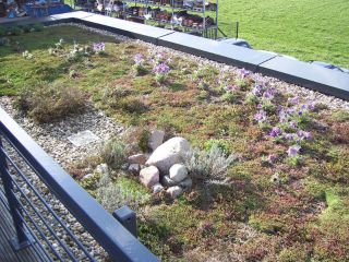 102_3991.JPG